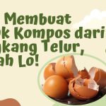 Cara Efektif Membuat Pupuk Kompos Dari Cangkang Telur Bekas