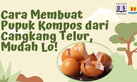Cara Efektif Membuat Pupuk Kompos Dari Cangkang Telur Bekas