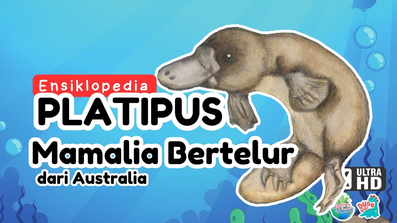 Platypus