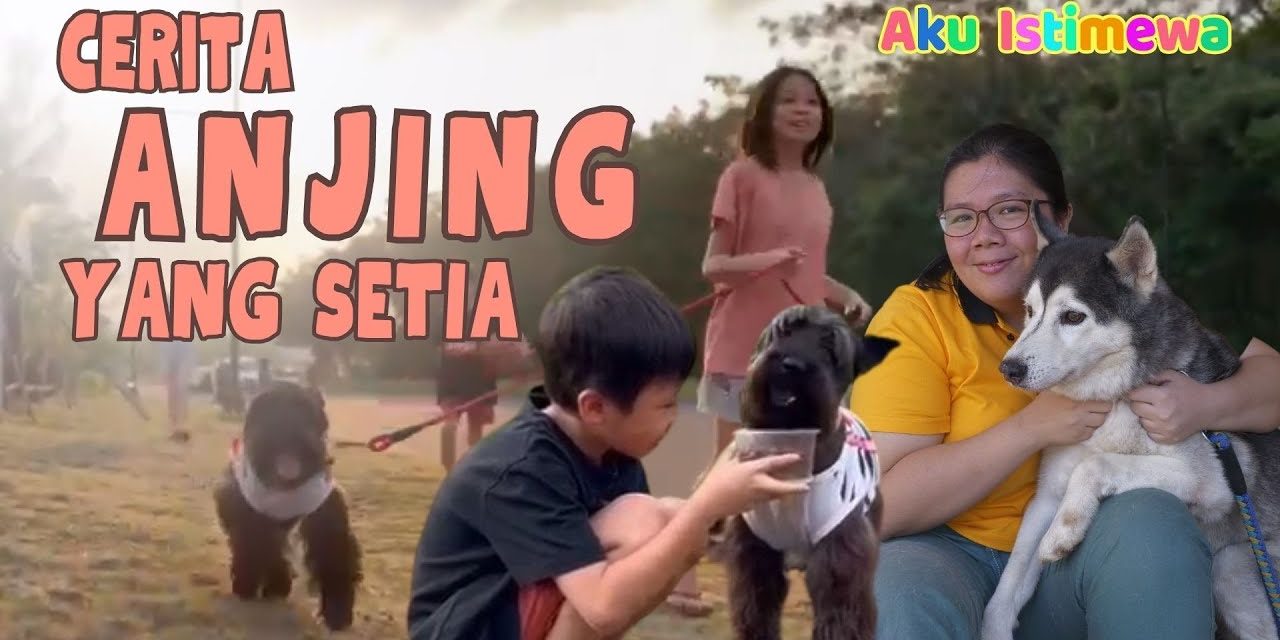 Rahasia Evolusi Anjing Yang Membentuk Sifat Setia