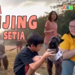 Rahasia Evolusi Anjing Yang Membentuk Sifat Setia