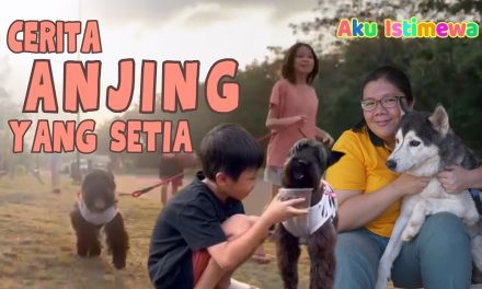 Rahasia Evolusi Anjing Yang Membentuk Sifat Setia