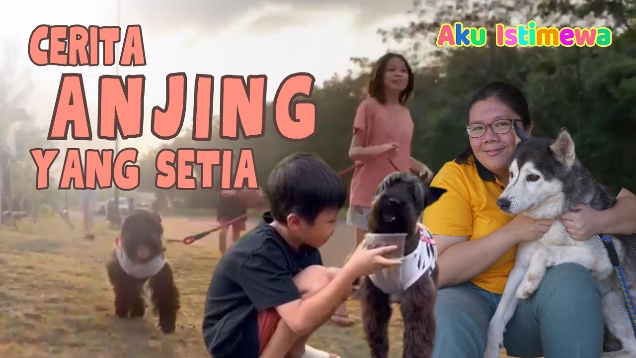 Rahasia Evolusi Anjing