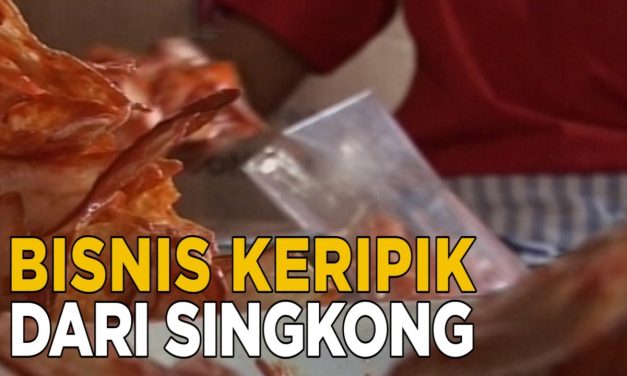 Bisnis Keripik Singkong Menawarkan Peluang Yang Menjanjikan