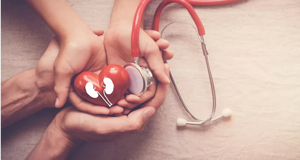 Transplantasi Ginjal Dan Hambatan Sistem Donor Di Indonesia